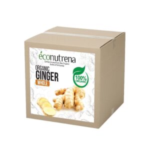 organic ginger (2)