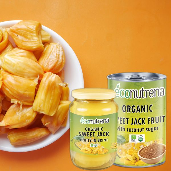 Organic Sweet Jack fruit in Brine