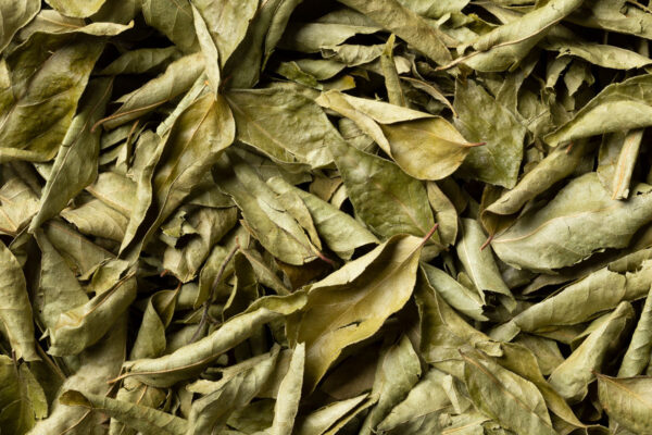 curry_leaves-banner1