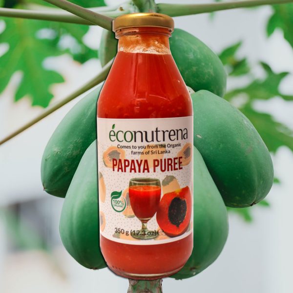 papaya-puree1